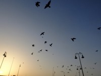 Semburat jingga di langit menjadi objek foto yang sangat cantik (Sastri/detikTravel)