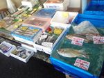Tsukiji, Pasar Ikan Favorit Turis di Jepang
