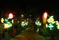 Jika malam hari, suasana makin cantik dengan aneka lampu yang memperindah suasana. Lampu taman sudah diatur sedemikian rupa dalam dekorasi berbentuk bunga yang berpendar hijau, merah dan kuning (Fitraya/detikTravel)