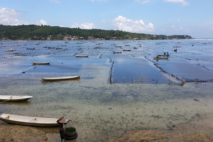 4 Alasan Liburan ke Nusa Lembongan Bali