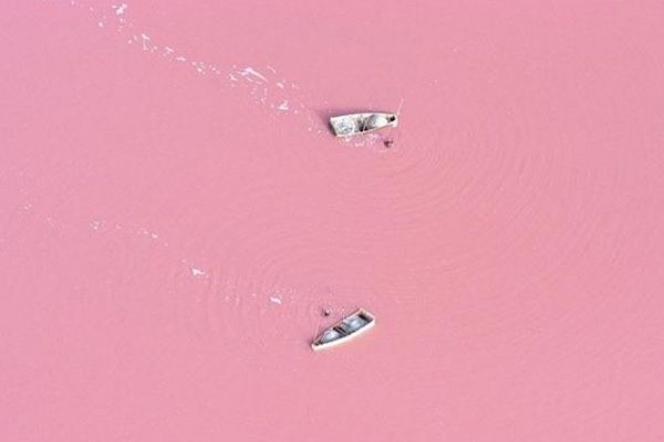 Ajaib! 8 Danau di Dunia yang Berwarna Pink (1)