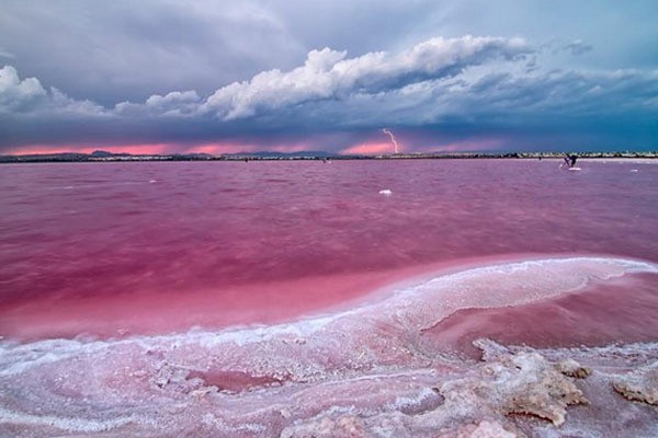 Ajaib! 8 Danau di Dunia yang Berwarna Pink (2)