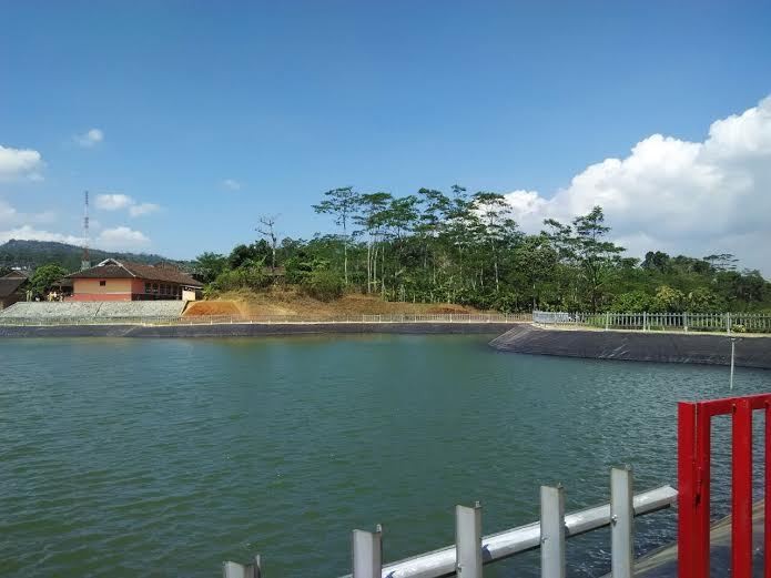 Mentan: 100.000 Hektar Sawah Selamat dari Dampak Kekeringan