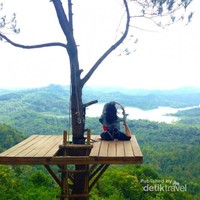 Bisa berpose sambil foto-foto Bisa berpose sambil foto-foto