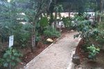 Belajar Cinta Alam di Godong Ijo, Depok