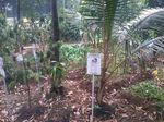 Belajar Cinta Alam di Godong Ijo, Depok