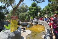 Menurut Tripadvisor, Batu Secret Zoo adalah kebun binatang terbaik se-Indonesia. Suasana apik, bersih, edukatif dan kreatif bisa dirasakan wisatawan ketika datang ke sana (Fitraya/detikTravel)