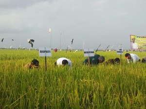 Ini Strategi Mentan Amran Agar Petani Jual Beras ke Bulog