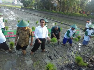 Senangnya Petani Hingga Bupati Dikunjungi Mentan Amran