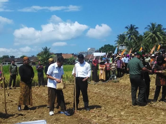 Senangnya Petani Hingga Bupati Dikunjungi Mentan Amran