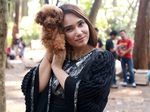 It's Britney! Feby Febiola dan Anjing Poodle Kesayangannya