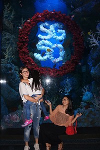 Tak hanya USS, Yuki juga jalan-jalan ke Sea Aquarium. (dok. Pribadi)