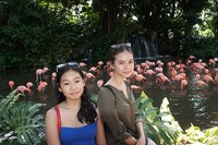 Yuki dan adik berfoto dengan flamingo. (dok. Pribadi)