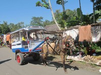 Usai belanja sebaiknya jangan langsung pulang. Anda bisa melihat keindahan alam di sekitar Desa Sukarara sambil naik delman (Kurnia/detikTravel)