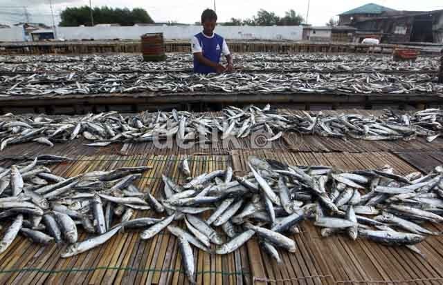 Ekspor Ikan ke AS Tak Kena Bea Masuk, Filipina Hingga China Iri dengan RI