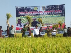 Mentan Sebut Hanya 8.000 Hektar Sawah Gagal Panen Tahun Ini