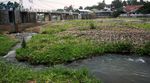 Kemarau, Bendung Katulampa Kering