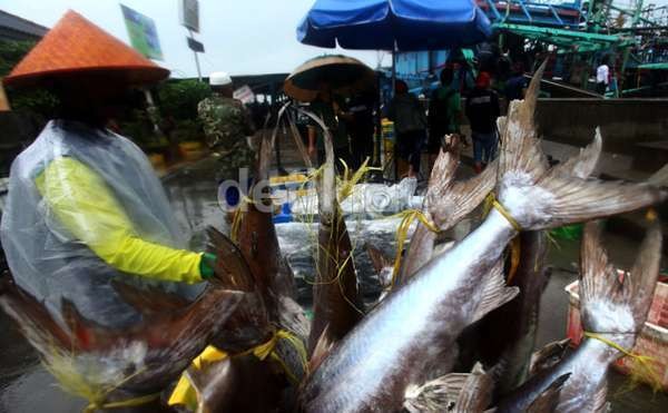 China Investasi Perikanan di Bitung dan Palu