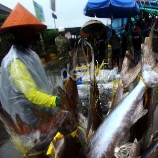 Ikan RI Bebas Bea Masuk di AS, Fadel Muhammad: Stok Ikan AS Sedikit