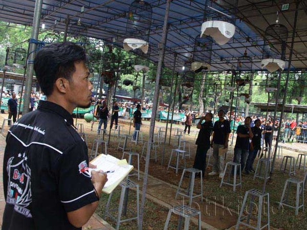 Kontes Burung Kicau Royal Cup 2015