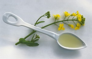 Minyak Rapeseed Bisa Jadi Alternatif Pengganti Minyak Zaitun