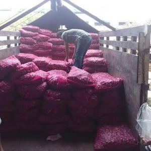 BPS: Produksi Bawang Merah Tahun Lalu Defisit