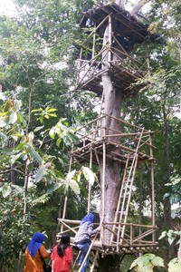 Selain bisa bermain di taman bersama kupu-kupu yang beterbangan, wisatawan juga bisa naik ke rumah pohon. Ada tiga rumah pohon yang dibuat dari bambu (Kurnia/detikTravel)