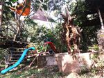 Liburan Asyik di Taman Kupu-kupu Bandar Lampung