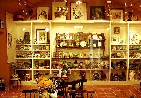 Unik, Korea Selatan Punya Museum Burung Hantu