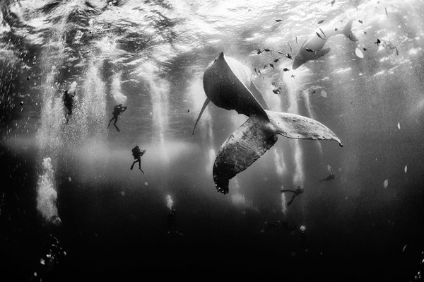 10 Foto Juara National Geographic Traveler