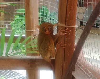 Sst, Ada yang Lucu di Kantor Dinas Budpar Belitung Timur