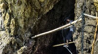 Para pemetik sarang walet membuat jalur menuju goa dengan memasang tali di dinding tebing.