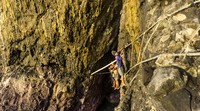 Para pemetik sarang walet menyeberang menuju goa dengan berpijak dan berpegangan tali yang dipasang di dinding tebing.