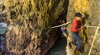 Kegiatan memasang tali di dinding tebing tersebut tanpa bantuan keselamatan dengan tingkat kemiringan tebing yang mencapai 180 derajat dan risiko jatuh ke laut serta terbentur batu karang atau hilang terseret ombak.
