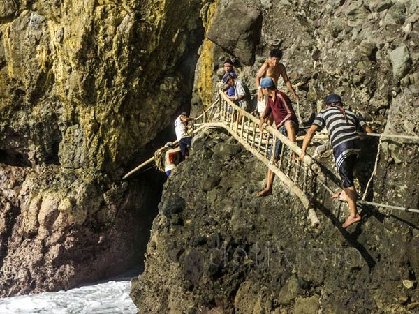 Melihat Aksi Pemetik Sarang Walet di Goa Laut Selatan