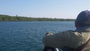 Kata Nelayan Soal Pulau Perawan di Belitung Untuk Karantina Sapi Impor