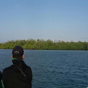 Digagas Sejak 2011, Pulau Karantina Sapi Impor Mulai Dibangun 2016