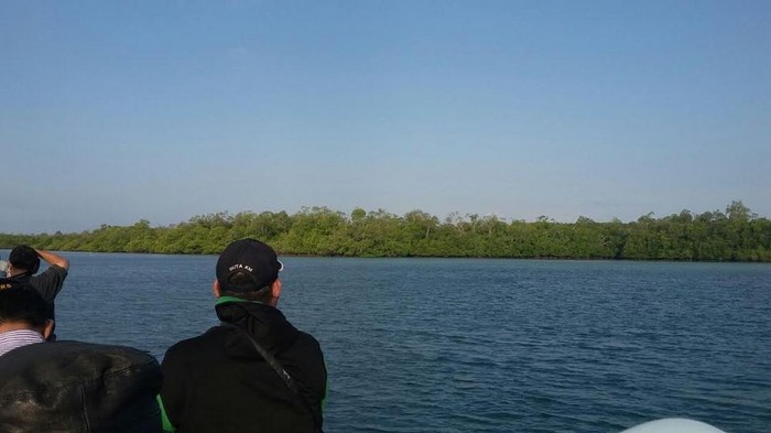 Pulau Karantina di Belitung Bisa Tampung 50.000 Sapi Indukan Impor