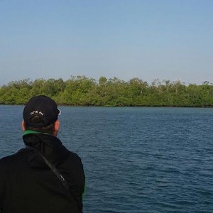 Si Perawan di Belitung Untuk Karantina Sapi Impor