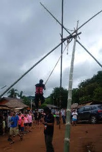 Lima batang bambu dijadikan tonggak, sedangkan di tengahnya ada tali panjang yang akan menjadi pegangan mereka. Uniknya, kebiasaan ini malah dilakukan orang dewasa. Menurut mereka, tradisi ini membuat mereka merasa lebih bebas, bahagia dan merdeka (Khairul/detikTravel)