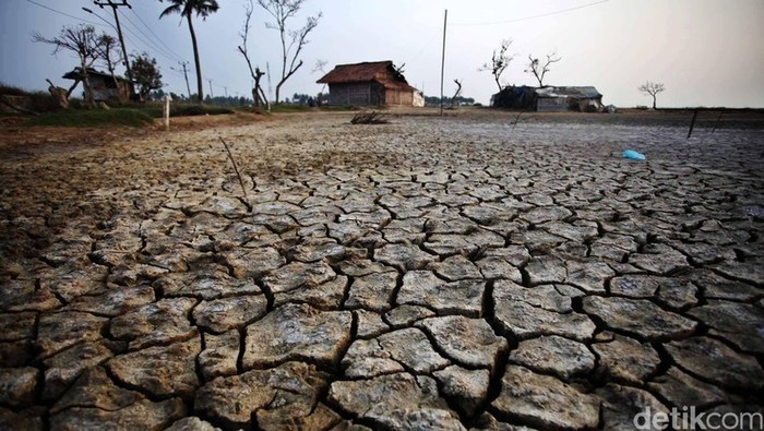 Antisipasi El Nino, Pemerintah Siapkan Rp 3,5 Triliun