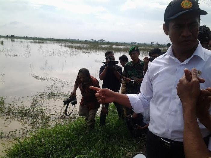Jokowi Minta Mentan Laporkan Dampak El Nino