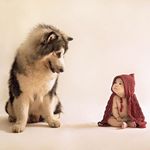 Foto Putri Gading-Gisel dan Anjing Malamut Alaska Ini Gemes Banget!