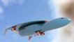 Whuz! Airbus Patenkan Pesawat Hipersonik Concord 2.0