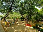 Bekasi Panas, Tapi Tidak di Taman Ini