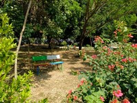 Meski beberapa bagian taman terlihat gersang karena musim kemarau panjang, bunga-bunga di Taman Kota Bekasi masih mekar. Anda bisa berfoto dengan latar bugenvil yang tumbuh di banyak titik (Sastri/detikTravel)