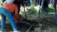 Penggalian kuburan ini dilakukan untuk mencocokkan DNA Rian dengan sampel pembanding dari keluarga.