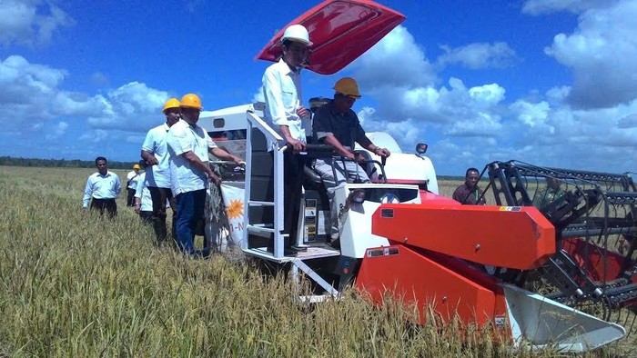 Pembangunan Lumbung Pangan di Merauke Hadapi Masalah Adat