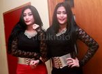 Awas! Duo Serigala Siap Tusuk-tusuk Kamu