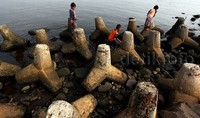 Sejumlah anak bermain dengan ceria di kawasan Dermaga Muara Angke, Jakarta, Minggu (9/8/2015).